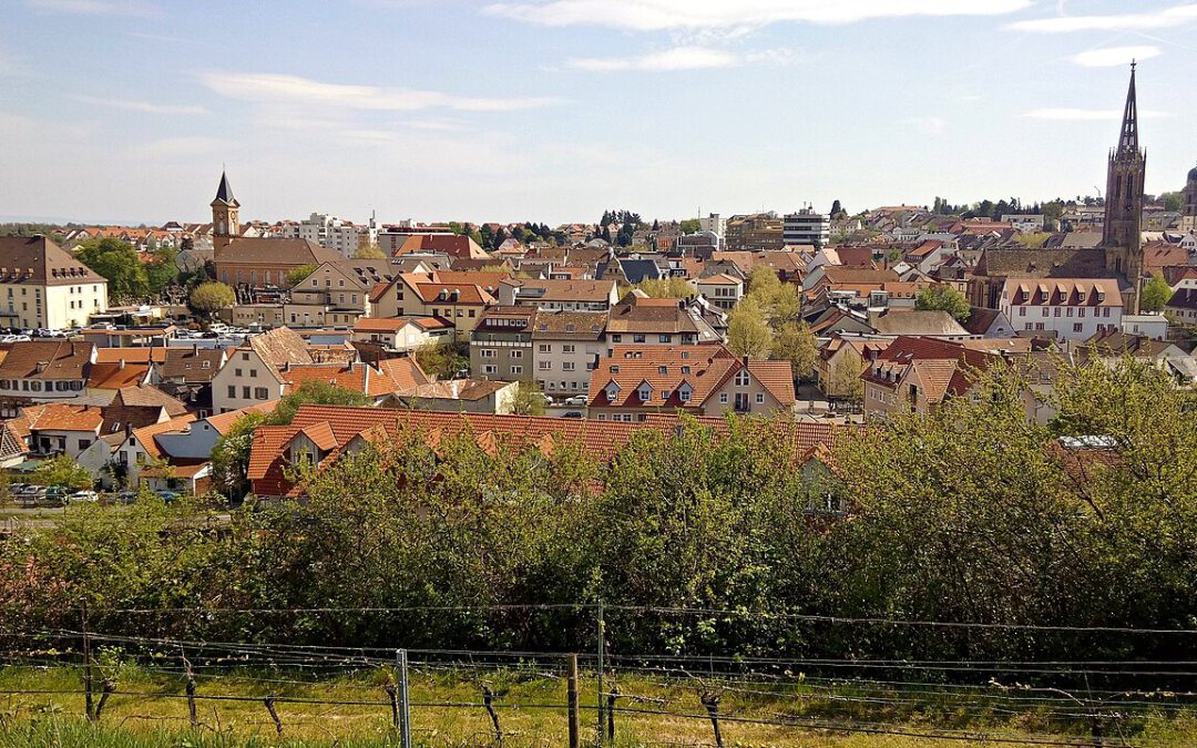 Welcher Immobilienmakler ist der beste in Bad Dürkheim?