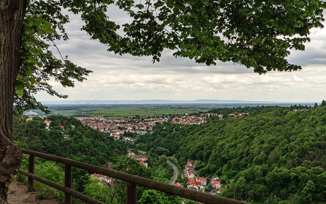 Immobilienmakler Bad Dürkheim