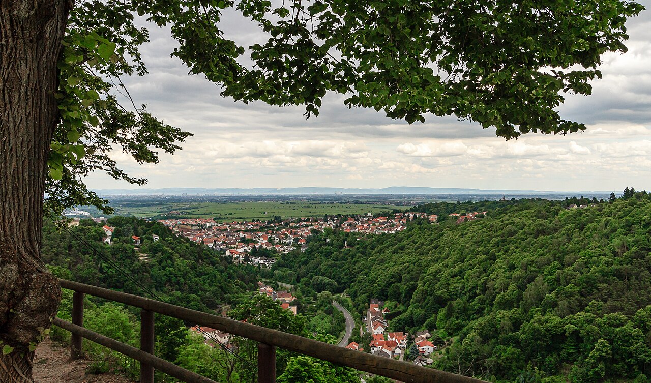 Immobilienmakler Bad Dürkheim