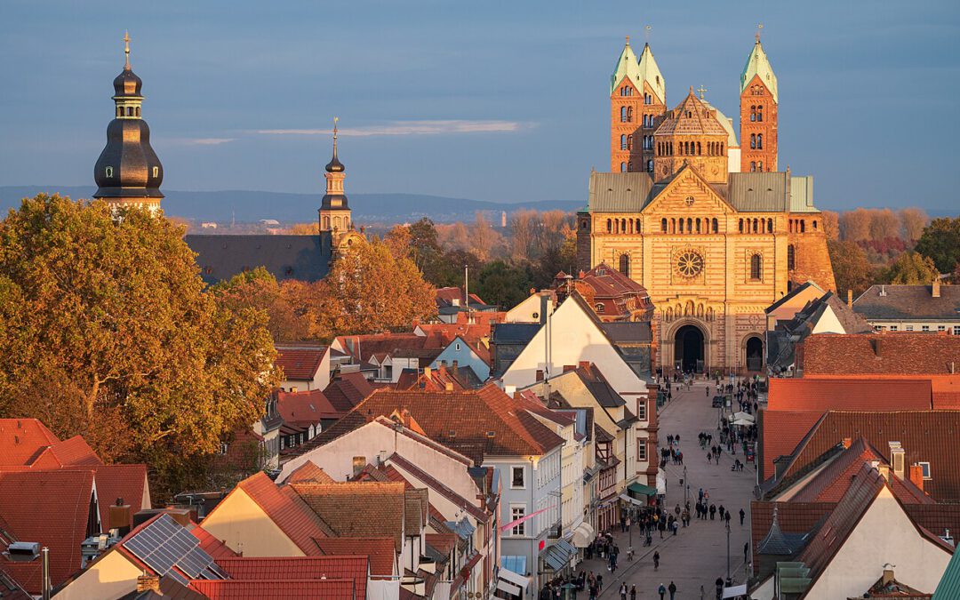 Welcher Immobilienmakler ist der beste in Speyer?