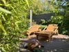 Großzügiges Einfamilienhaus in zeitloser Designsprache mit hochwertig angelegtem Garten in Sankt Martin - Garten