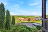 Einfamilienhaus mit 4 Ferienappartements und traumhaften Panoramablick - Aussicht