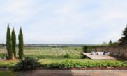 Großartige, barrierefreie Wohnung mit sensationellem Panoramablick und eigenem Garten - Aussicht