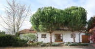 Modernes Einfamilienhaus in begehrter Weinbergsrandlage von Großfischlingen - Straßenansicht