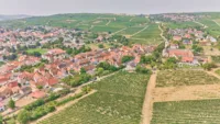 Modernisiertes Einfamilienhaus mit Einliegerwohnung & separater Halle in attraktiver Weinberglage - Drohnenaufnahme