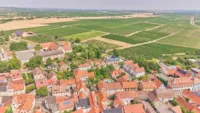 Modernisiertes Einfamilienhaus mit Einliegerwohnung & separater Halle in attraktiver Weinberglage - Drohnenaufnahme