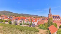 Reihenhaus in außergewöhnlicher Weinberglage mit eigenem Garten & traumhaftem Blick - Rückansicht
