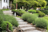 Exklusives Einfamilienhaus mit der Symbiose aus Licht und Eleganz - Garten