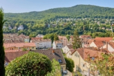 Einfamilienhaus mit Einliegerwohnung und terrassiertem Garten mit Blick über Neustadt - Ihr Ausblick