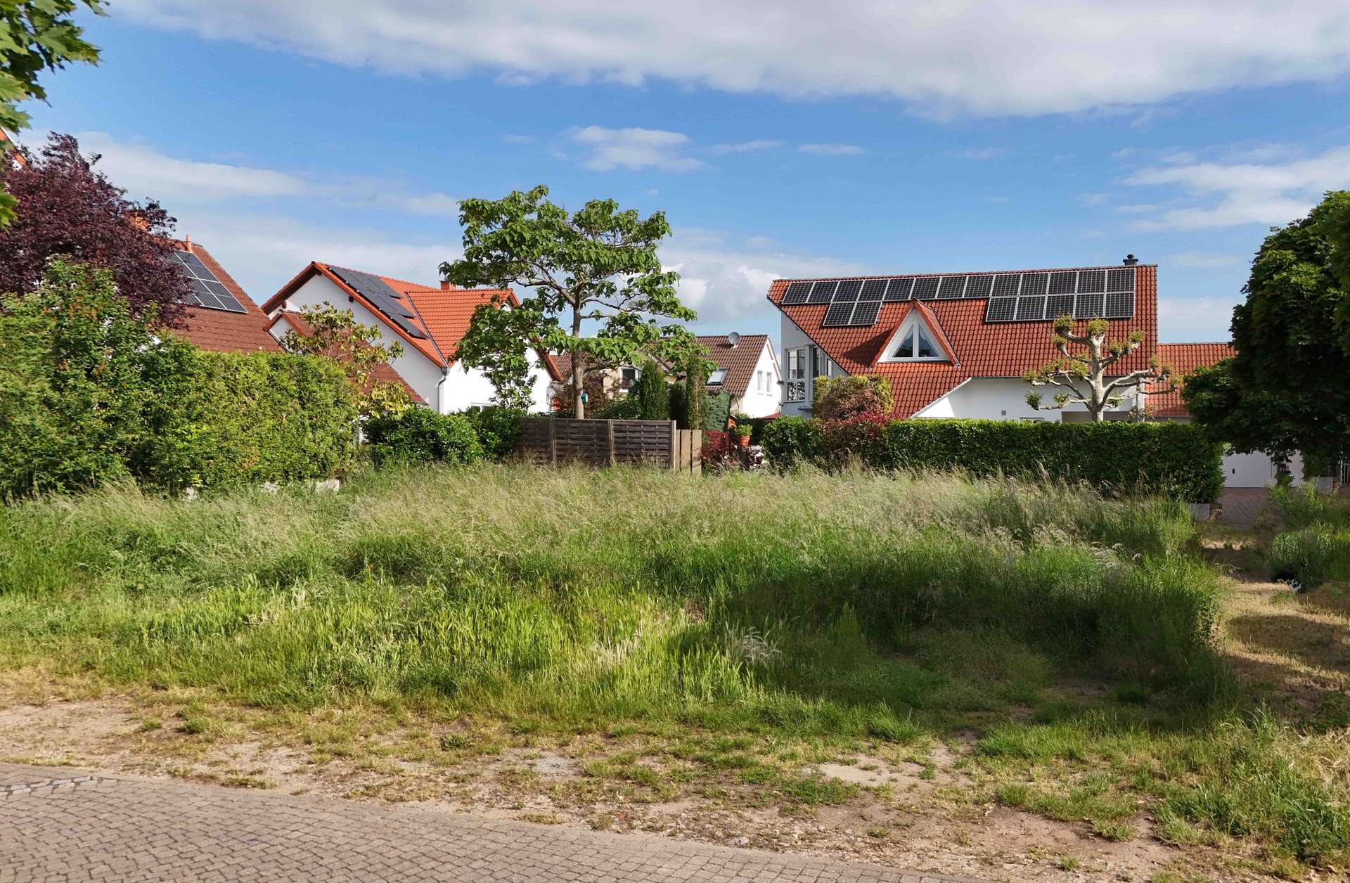 Besondere Gelegenheit: Bereits erschlossenes Baugrundstück in toller Lage von Wachenheim, 67157 Wachenheim an der Weinstraße, Wohngrundstück