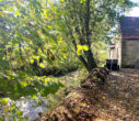 Natur, Privatsphäre, Freiheit: Ehemaliges Mühlenensemble auf parkähnlichem Grundstück im Zellertal - Pfrimm