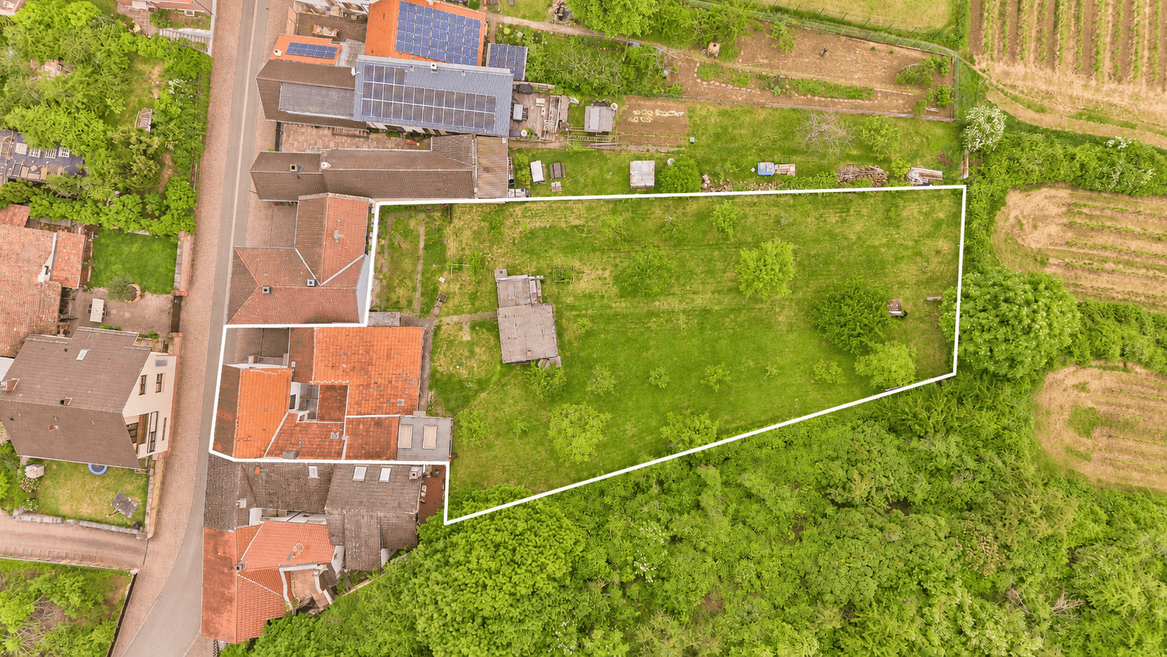 Ihr Rückzugsort im Grünen: Charaktervolles Zuhause mit weitläufigem Garten, 67273 Bobenheim am Berg, Einfamilienhaus