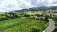 Großzügiger Bungalow mit Einliegerwohnung und einzigartigem Blick aufs Hambacher Schloss - Aussicht