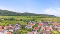 Lichtdurchflutete Gartenwohnung mit unverbaubarem Weinbergblick - Außenansicht