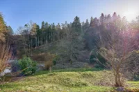 Liebevoll saniertes Kleinod mit idyllischem Garten in ruhiger Lage im Pfälzerwald - Garten