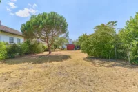 Wohnträume mit Perspektive – freistehendes Einfamilienhaus mit zusätzlichem Bauplatz - Garten