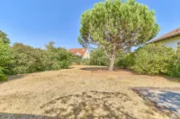 Wohnträume mit Perspektive – freistehendes Einfamilienhaus mit zusätzlichem Bauplatz - Garten